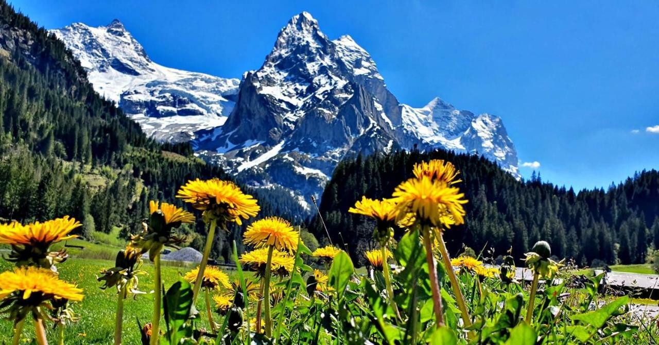 Churchstreet Appartements Meiringen Dış mekan fotoğraf